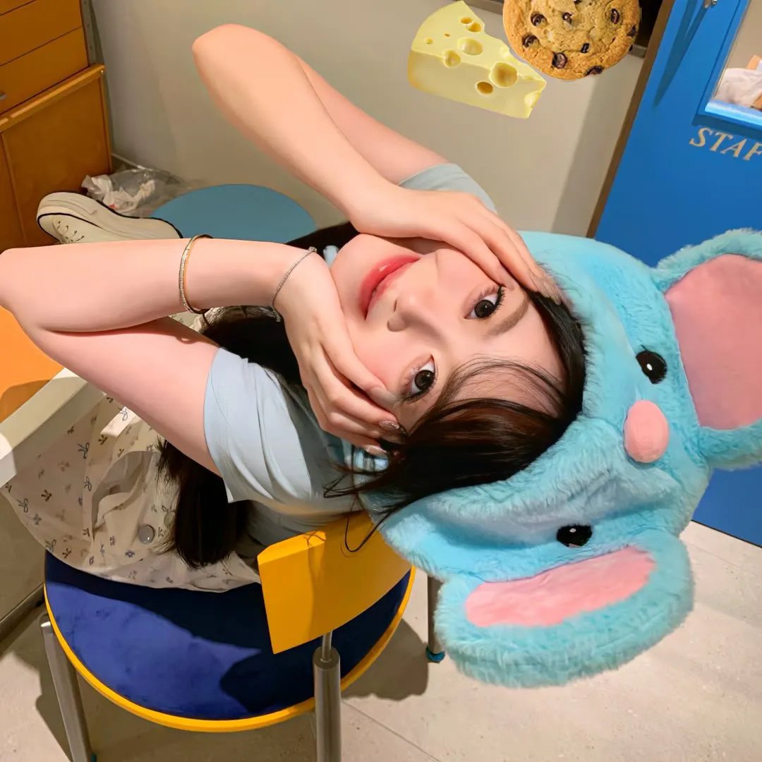 奇蛋物语封面